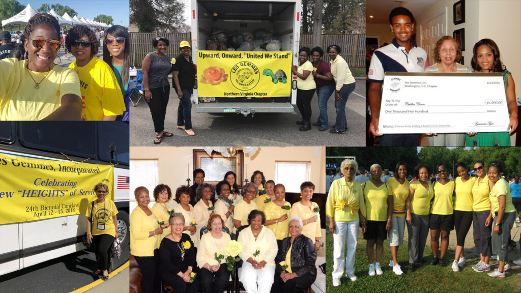 Collage-Photo-Banner-1024x576